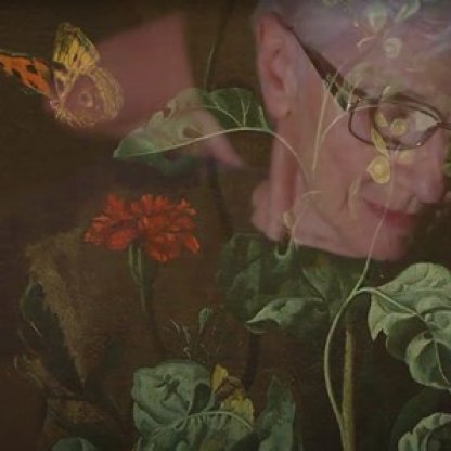 Highlight image for Look Imagine Move - Artwork in focus films